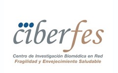 CIBERFES-LOGO